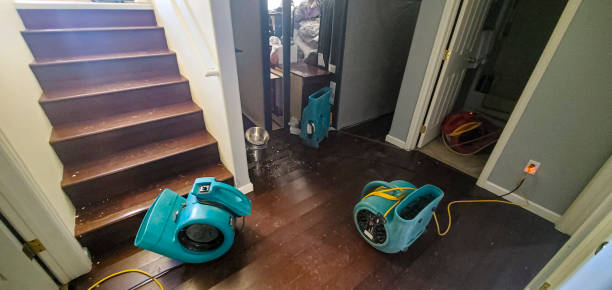 Best Mold removal after water damage  in Louisburg, KS