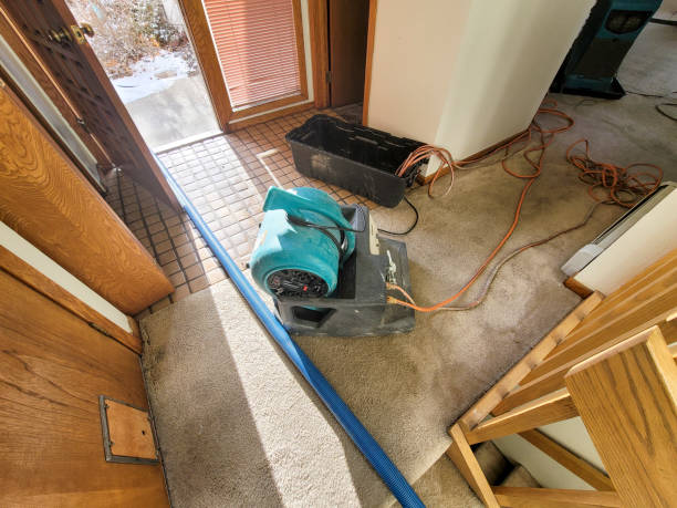 Best 24-hour water damage restoration  in Louisburg, KS