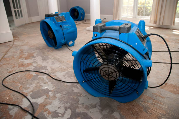 Best Professional water damage repair  in Louisburg, KS