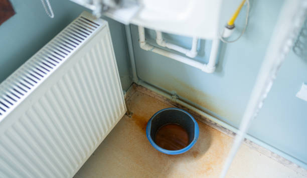 Best Water damage restoration mold remediation  in Louisburg, KS