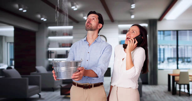 Best Water damage contractors near me  in Louisburg, KS